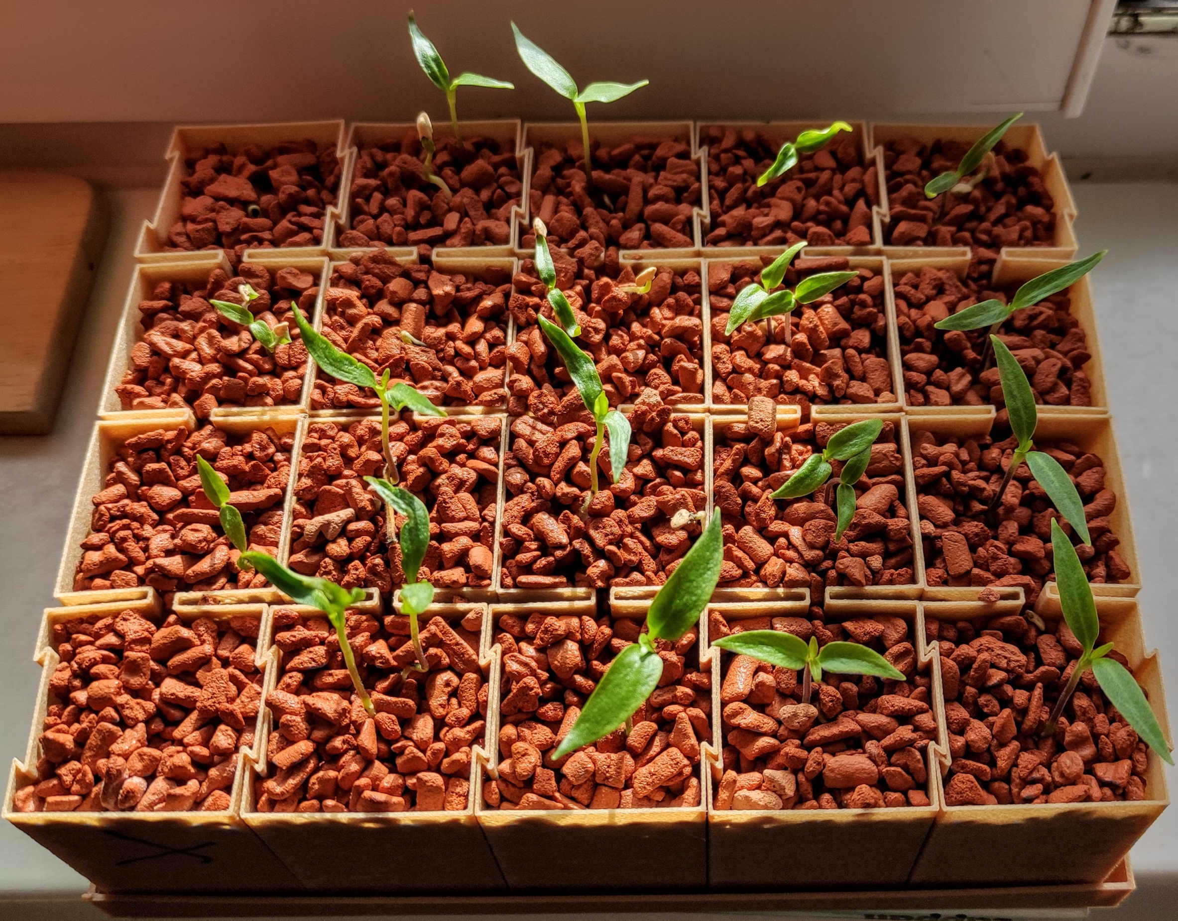 Modular sowing pots