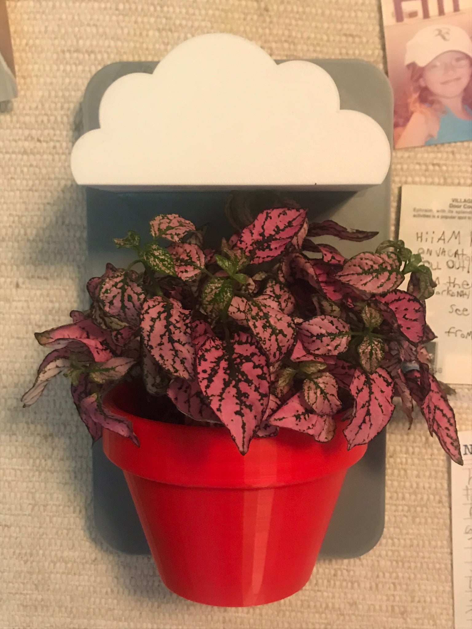 Wall-Mounted Planter