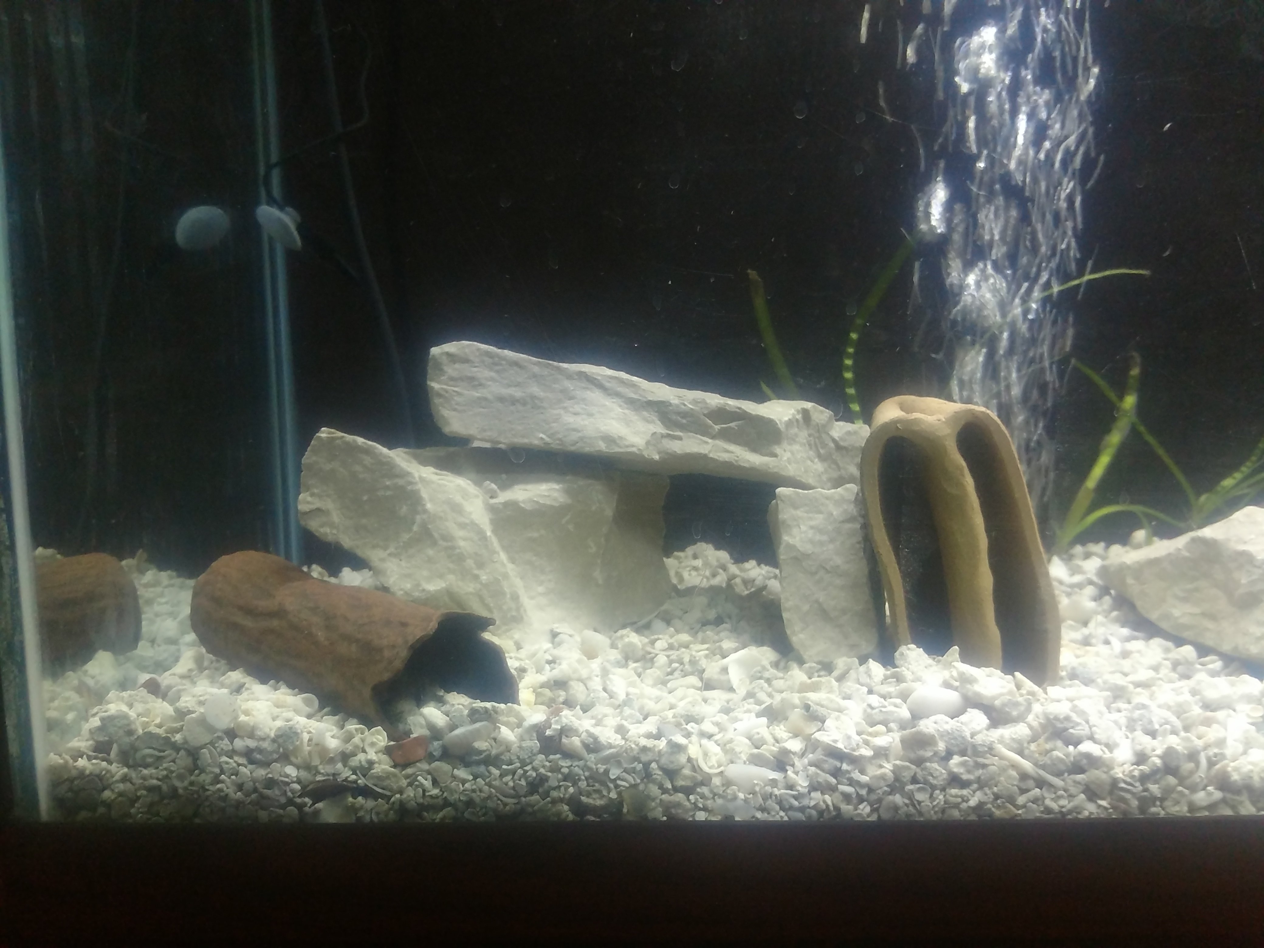 Aquarium Decoration - Wood Texture Pleco Cave - Small