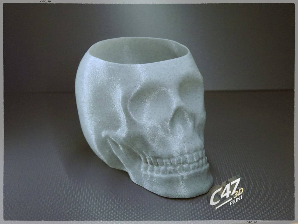 Skull Vase / Bowl