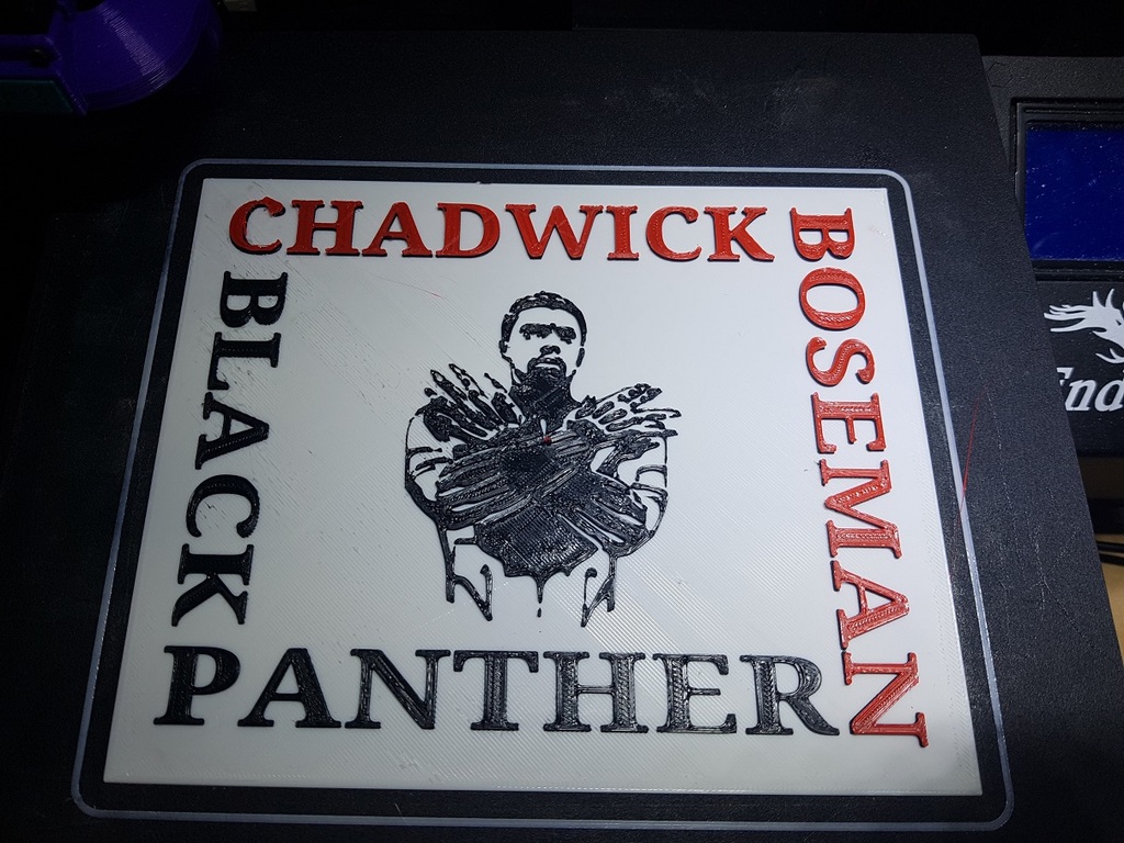 Black Panther - Chadwick Boseman Tribute