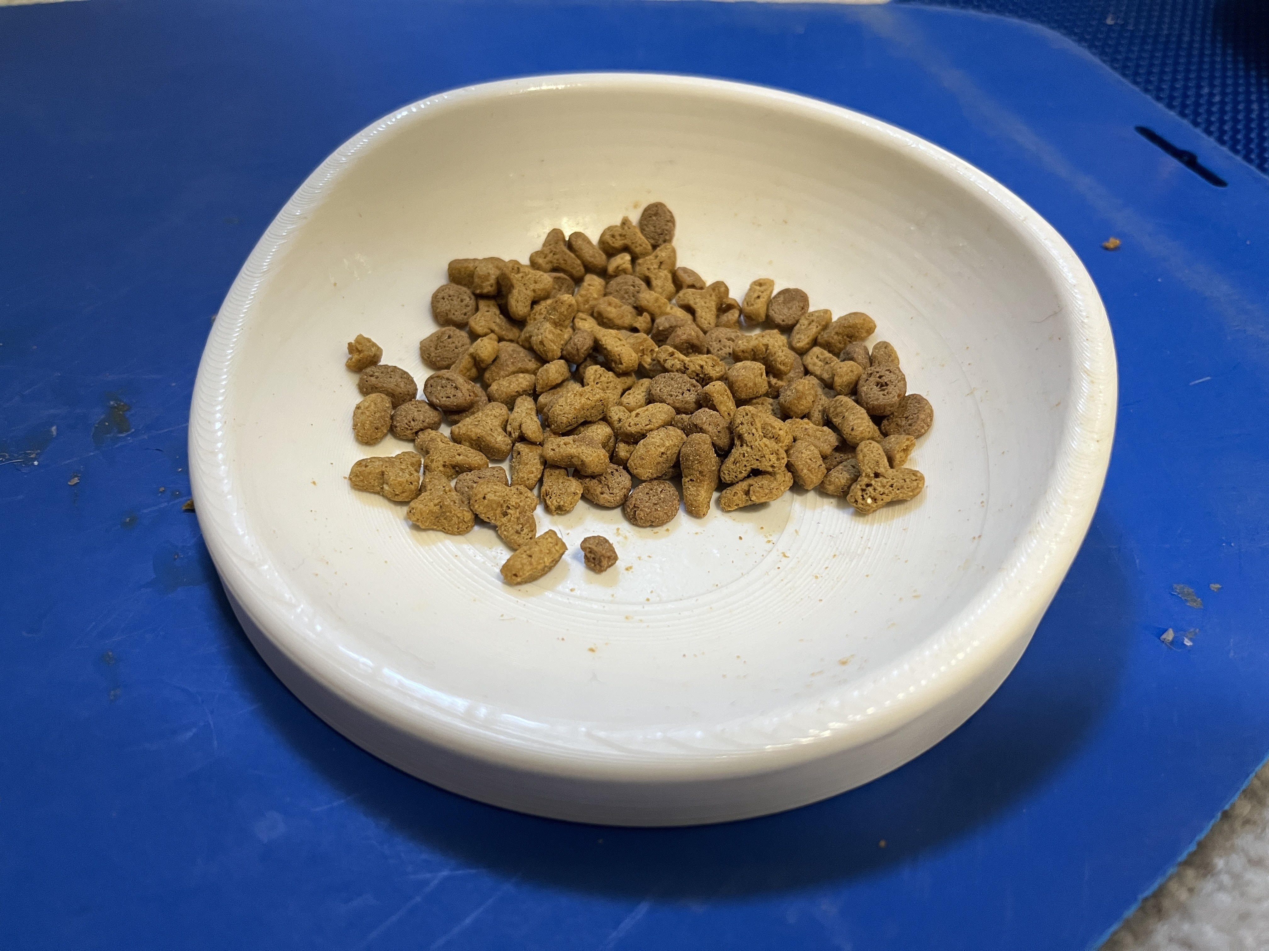 Whisker-Friendly Cat Food Bowl