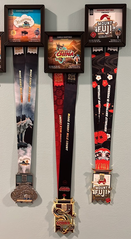 Medal Display Picture Frame