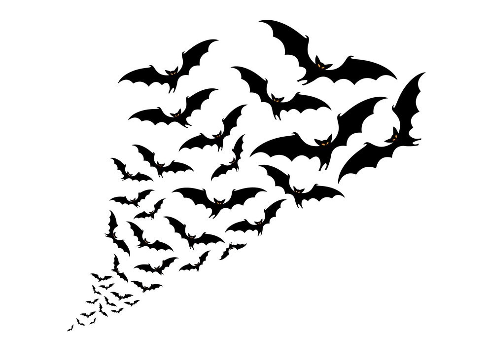 Bat Flight wall art