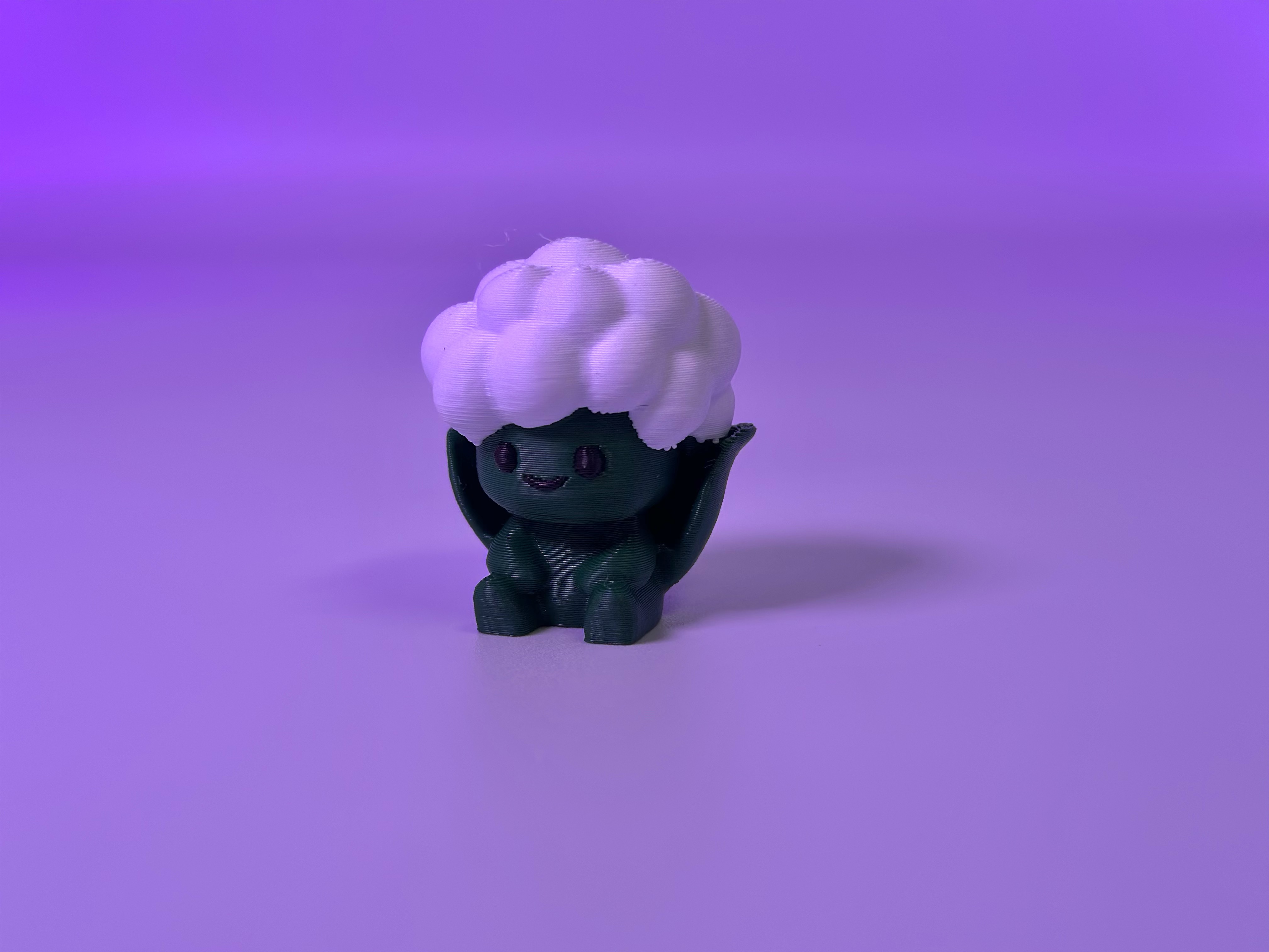 Cauliflower fruit & veggie buddy