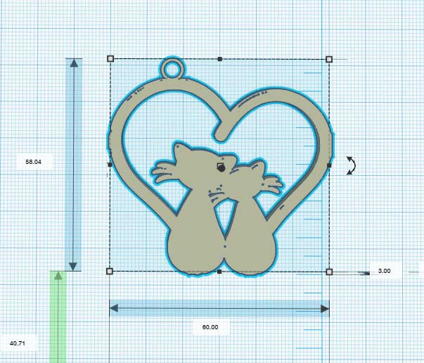 Heart cat - Chat Coeur