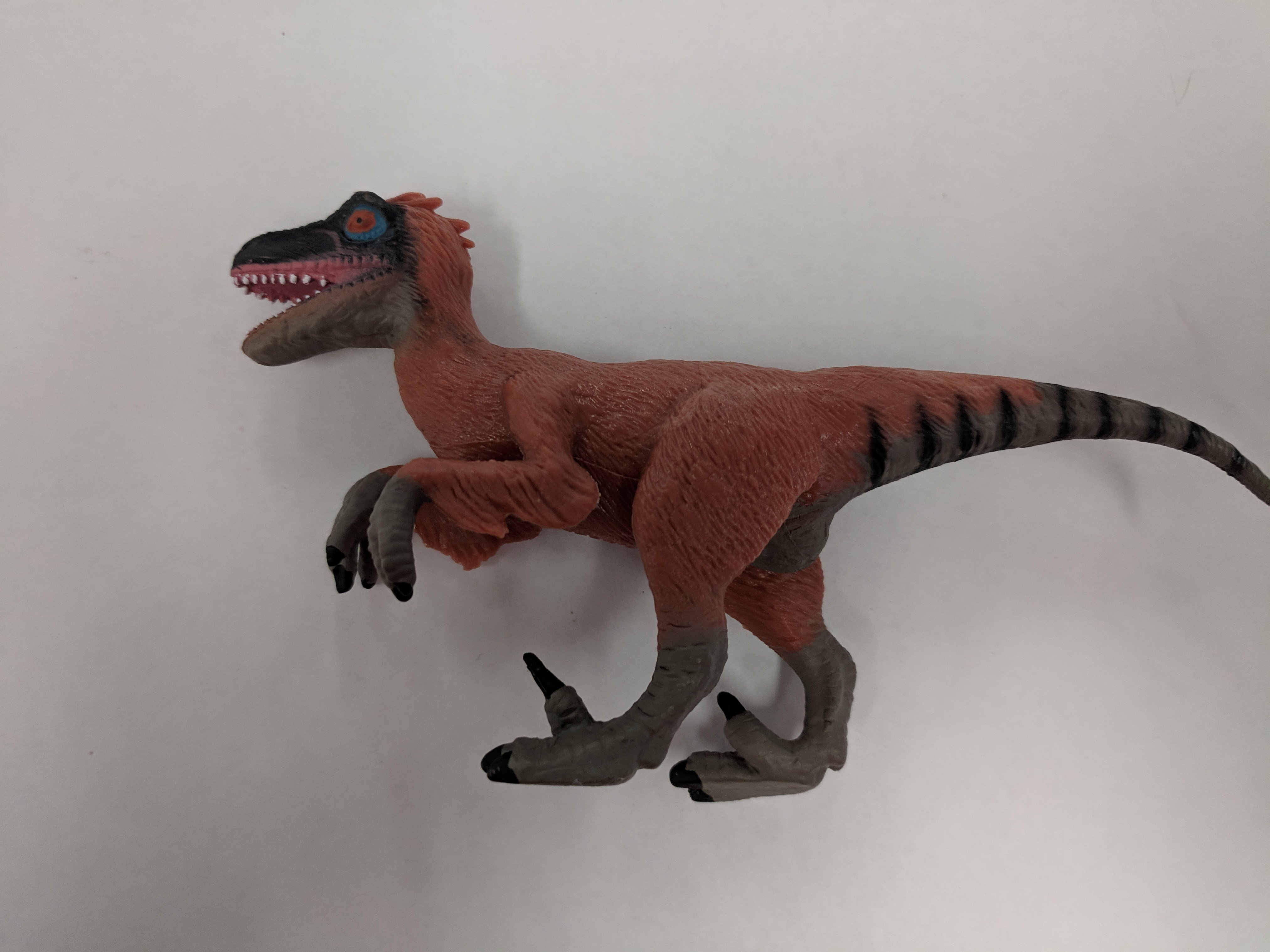Image of Velociraptor Dinosaur