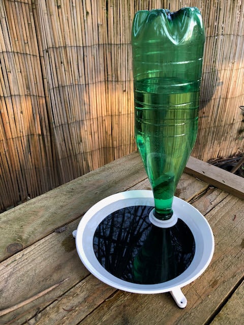 Water dispenser and bath for birds