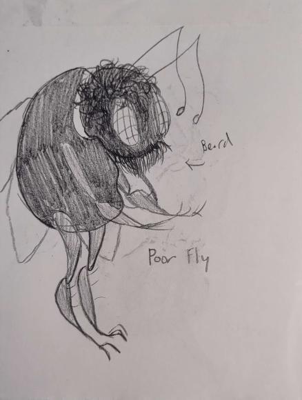 The Impoverished Fly