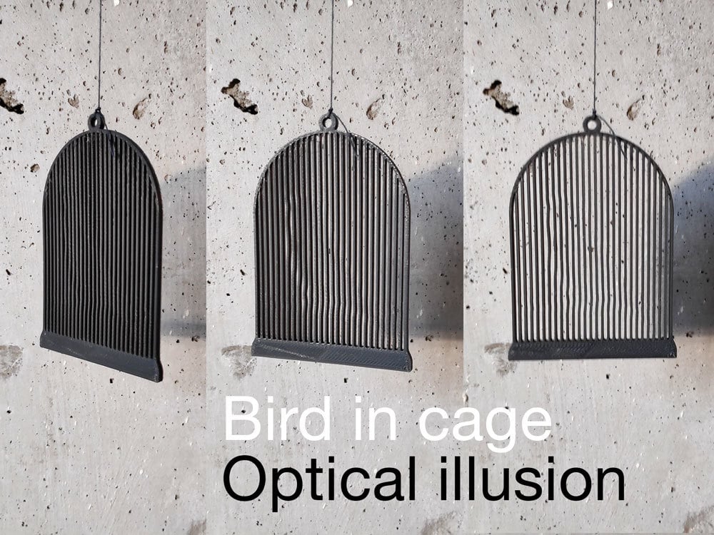 Bird in cage. Optical illusion