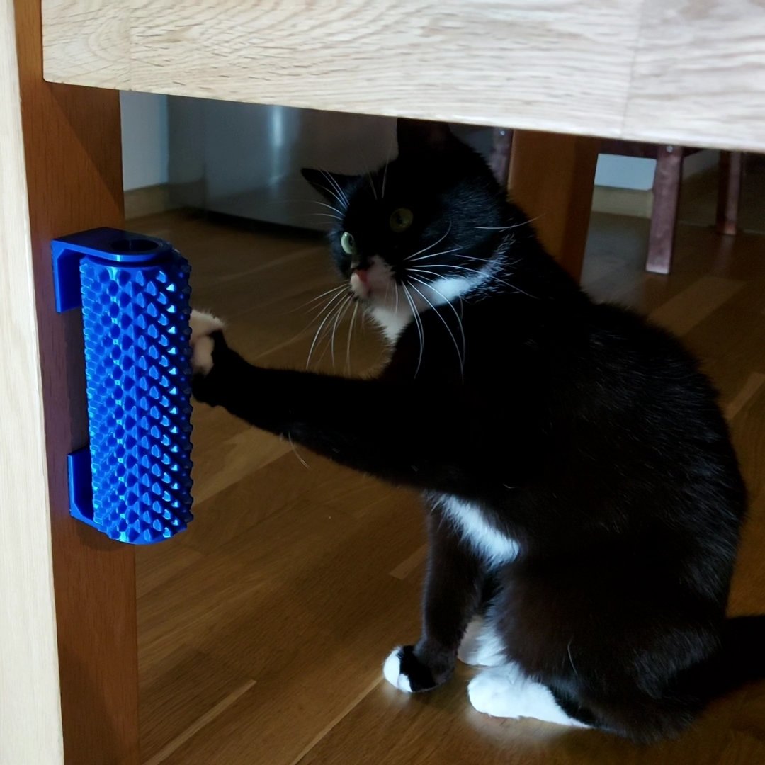 Cat Brush Roller & Treat Dispenser