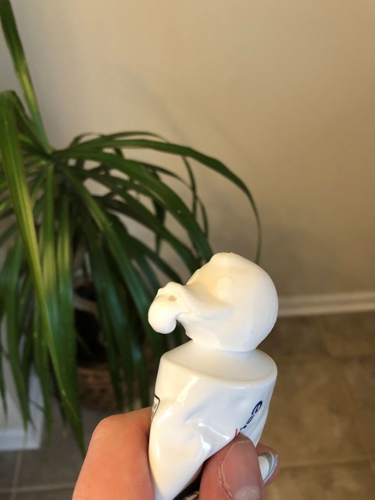 Duck Head Toothpaste Dispenser
