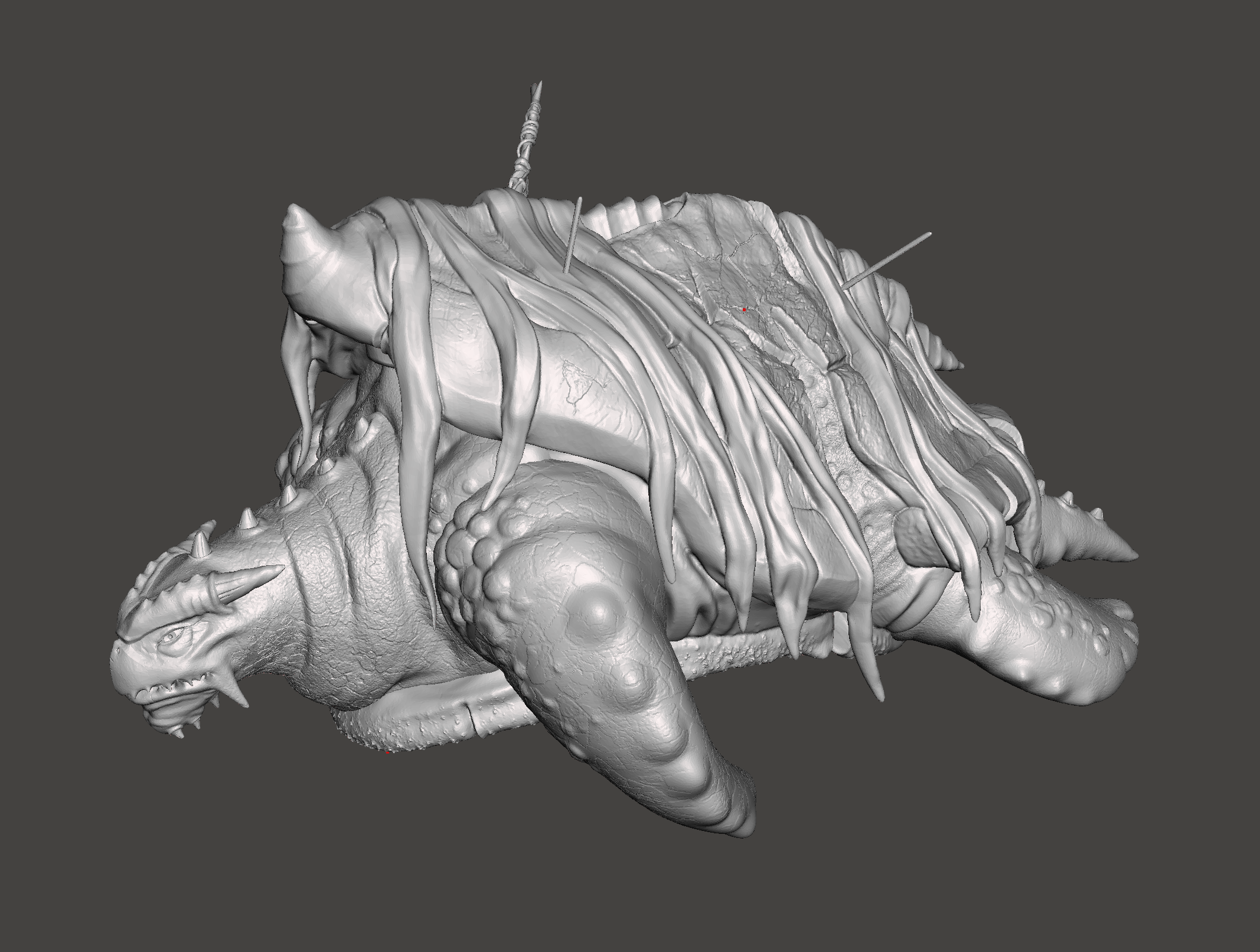 Ancient sea turtle