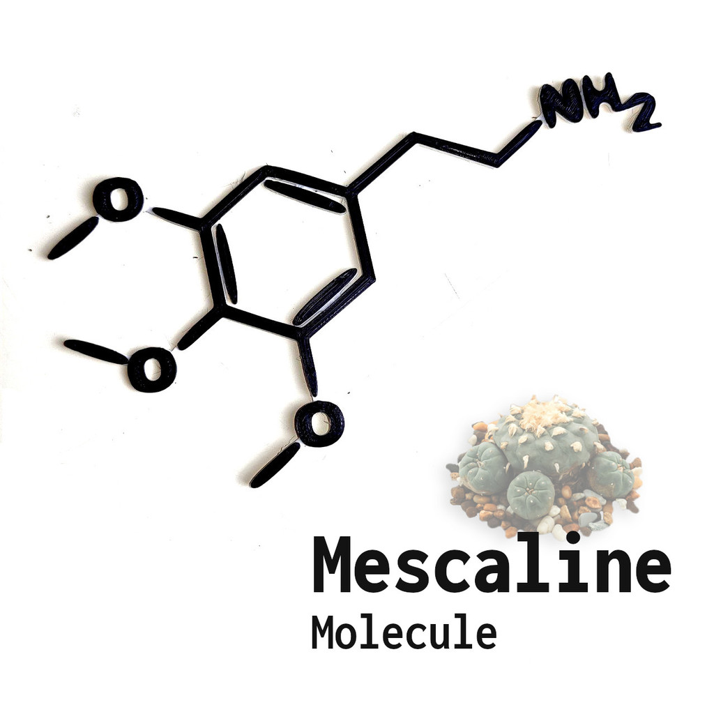 Mescaline Molecule