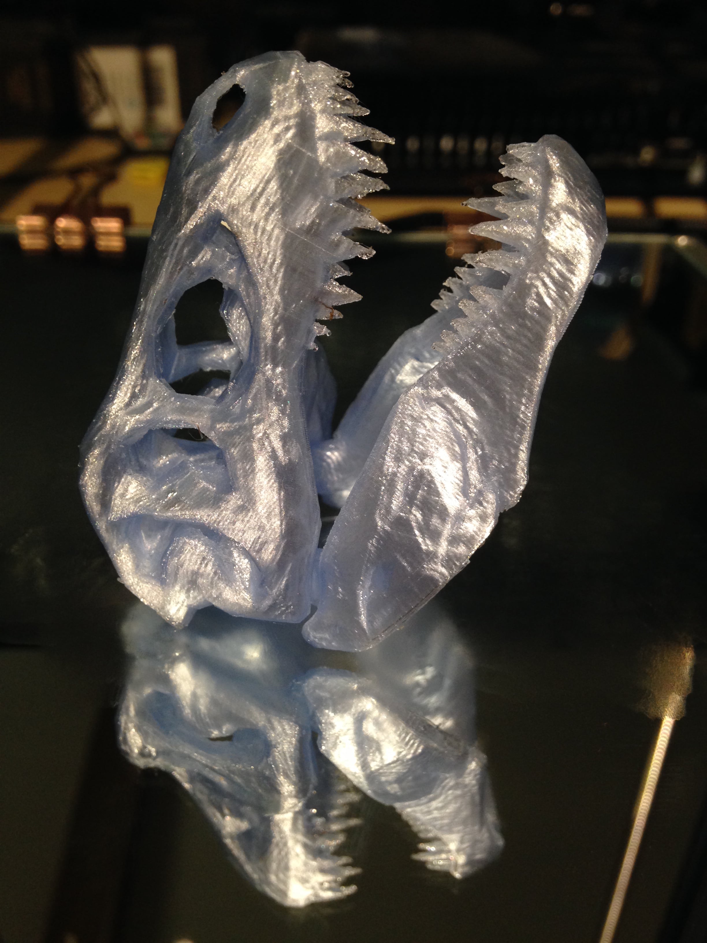 Poly T-Rex Skull