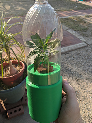 Single Plant Cloner or Seed Starter Kratky Hydroponic System