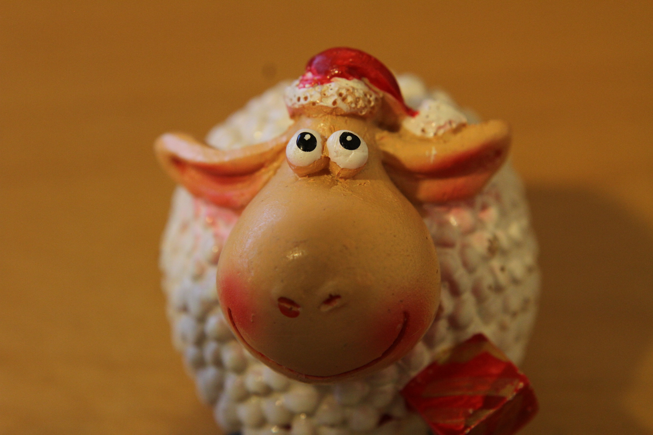 Happy sheep