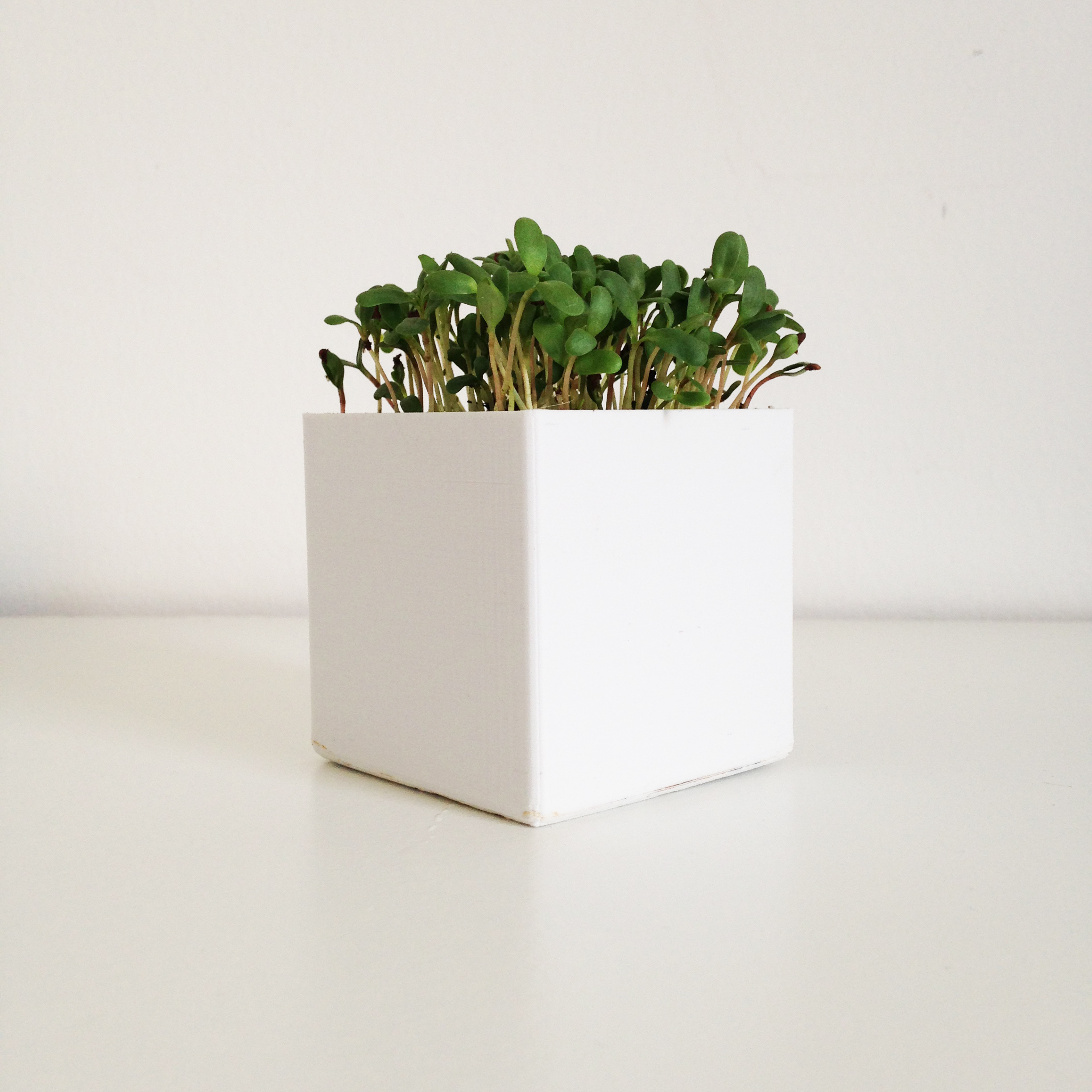 Little Square Planter