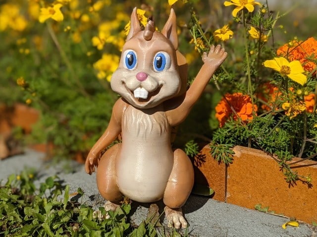 Cartoon Squirrel for your Garden