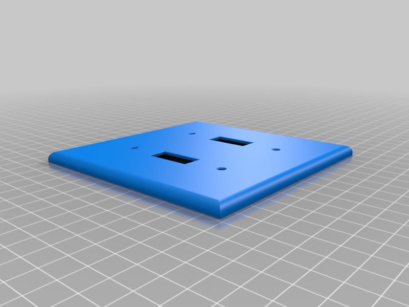 Blank Double Light-Switch Cover
