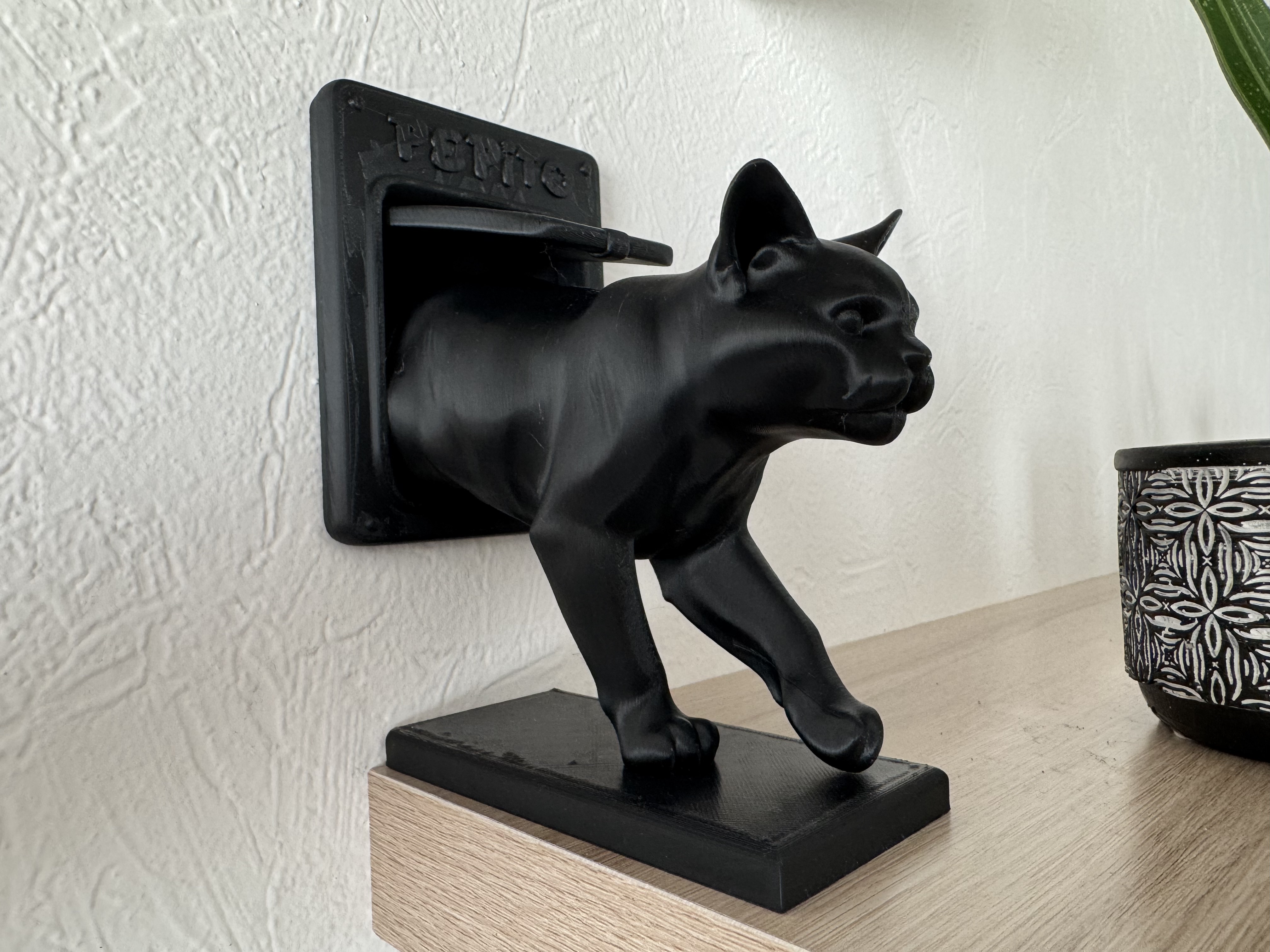Pepito the cat is back home
