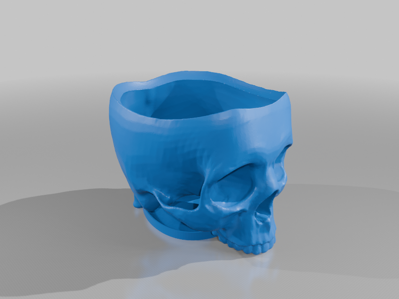 Skull planter/pot with water drip tray
