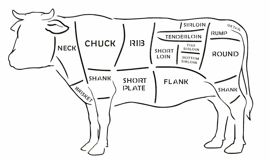 Cow Diagram stencil