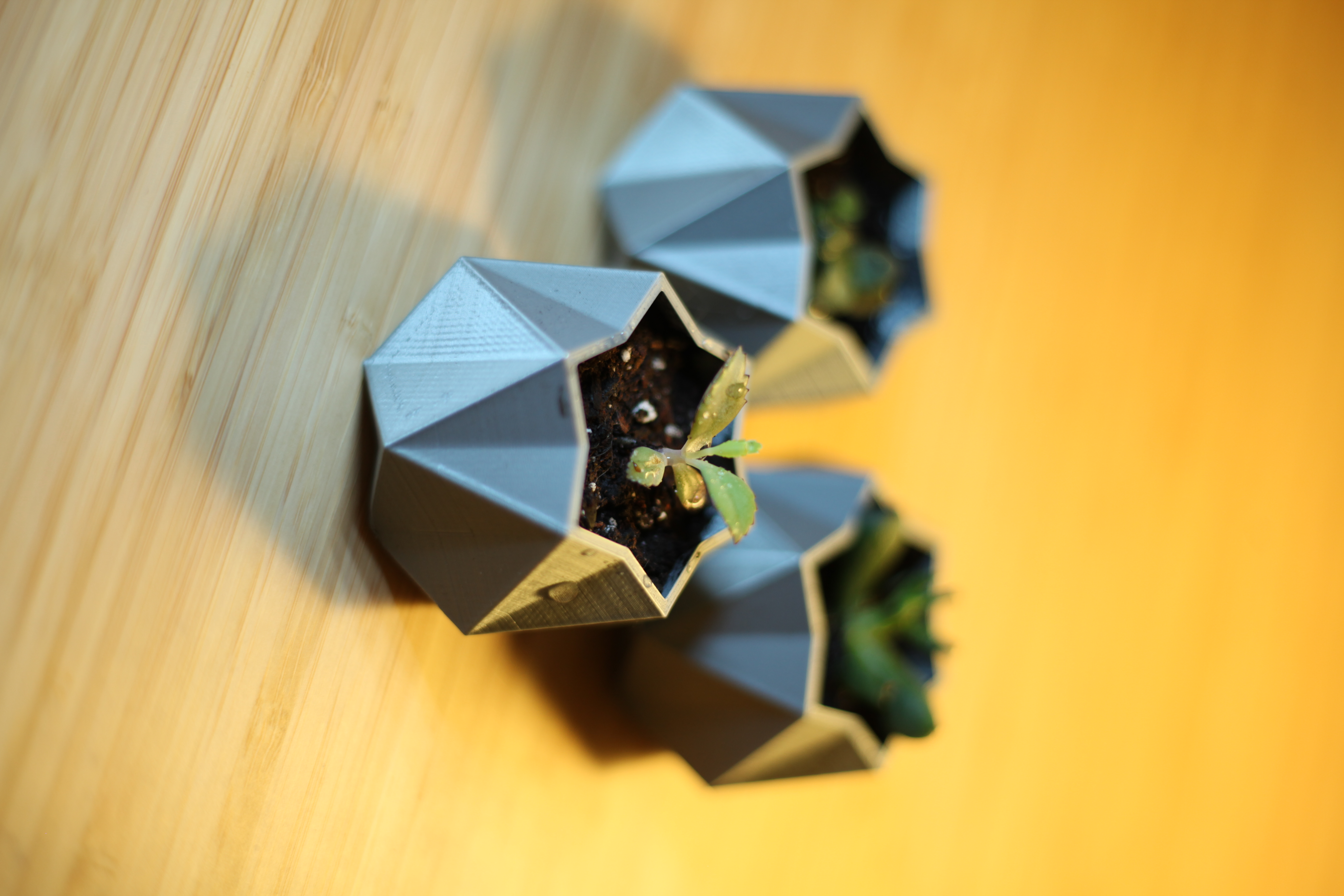 Mini Geometric Plant Pot