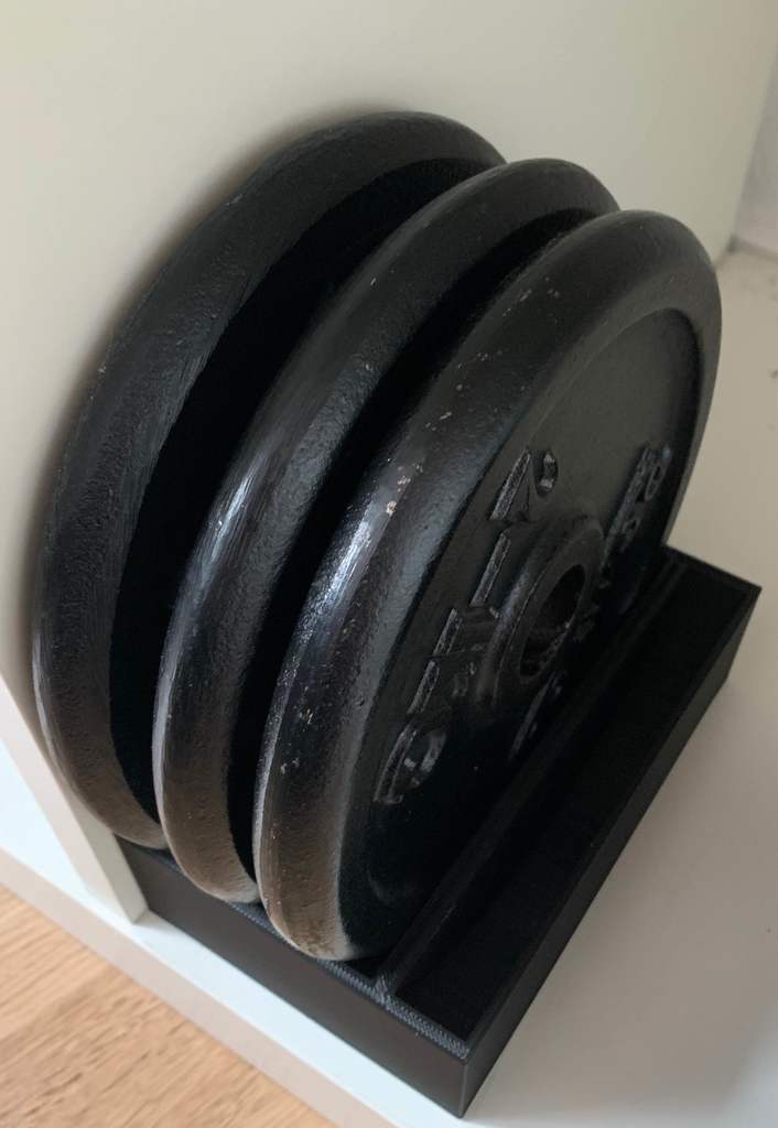 Hantelscheiben weight plates 2 kg