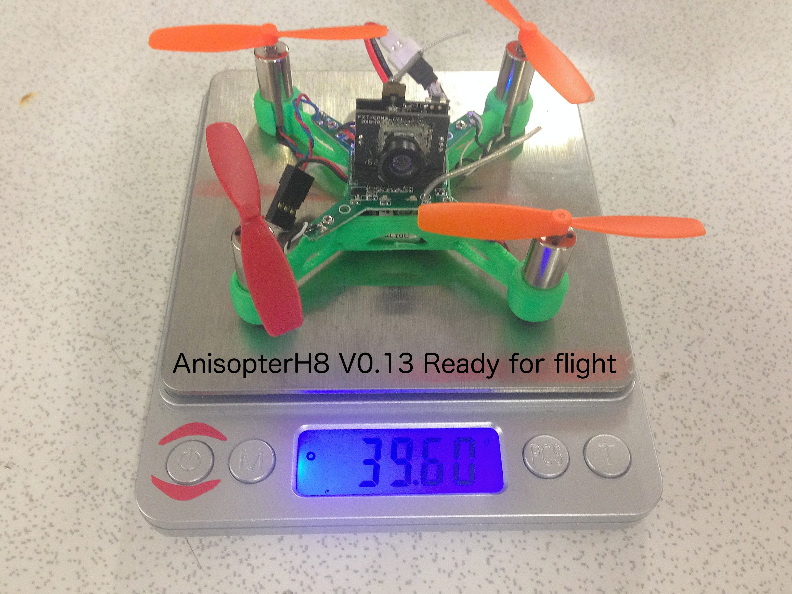 AnisopterH8