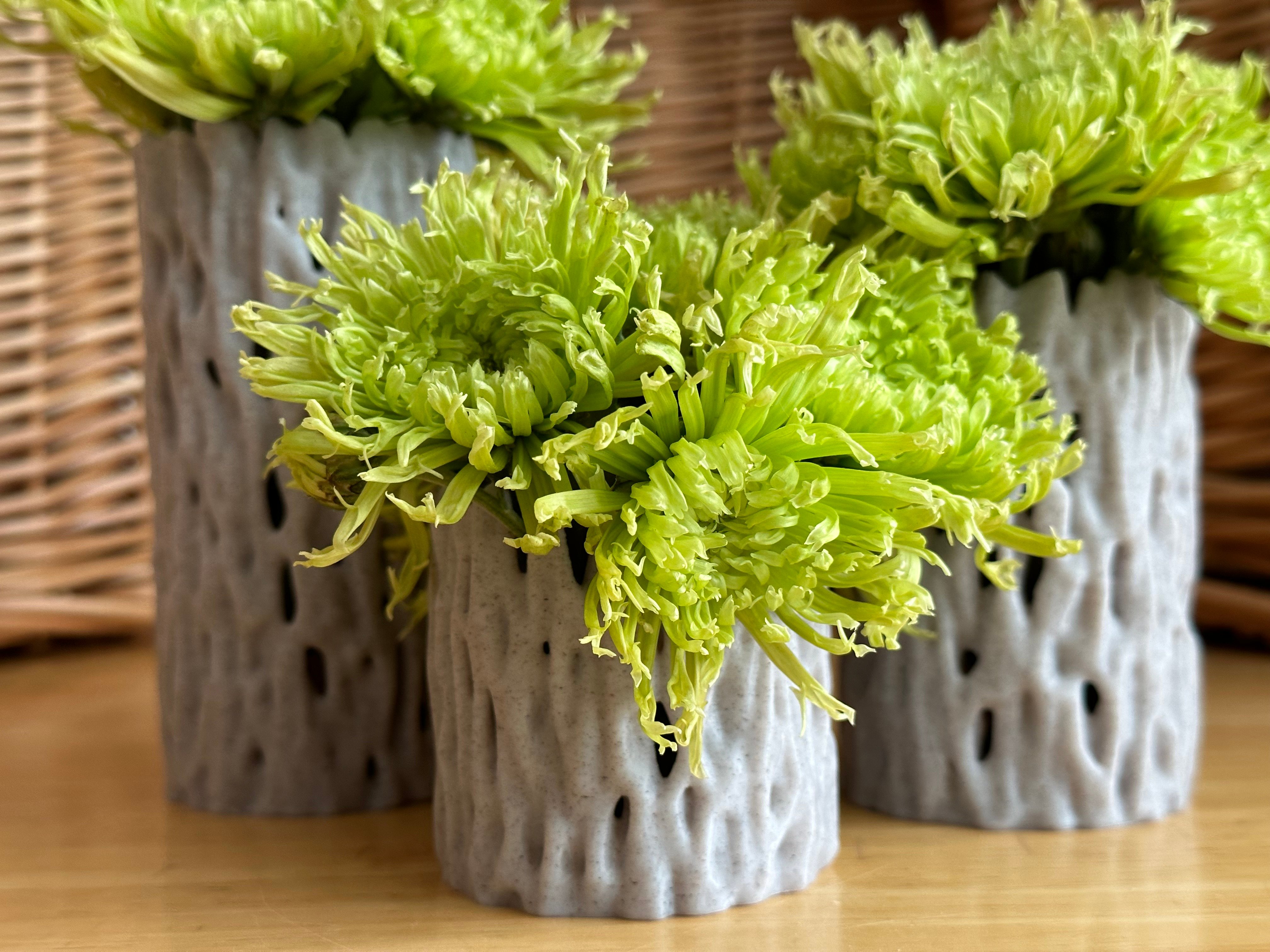 Banyan Tree Vase