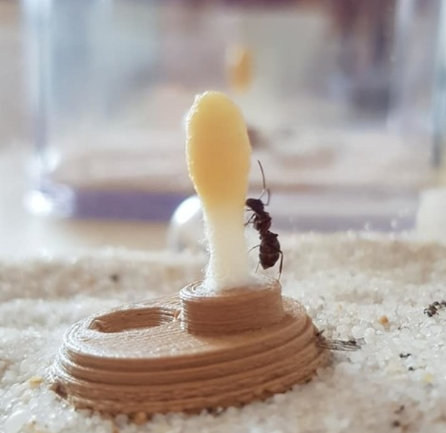 mieren ant liquid feeder