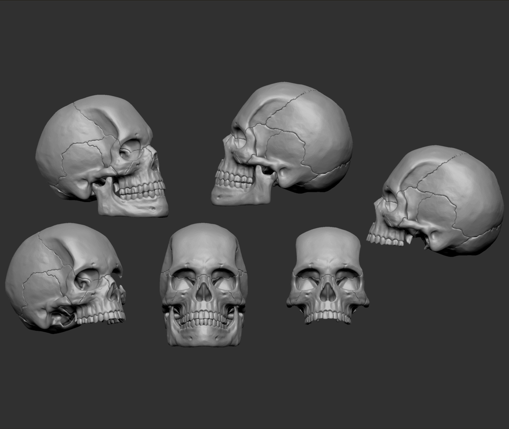 Skull 3D wall Mounts