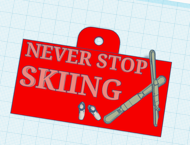 Never Stop Skiing - 3D Inspirational Plaque 