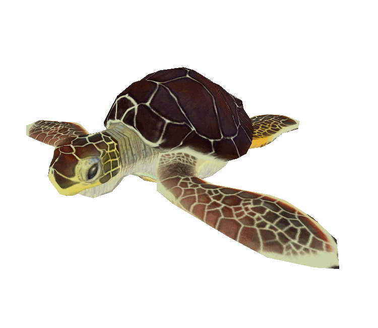 Green Sea Turtle Low Poly