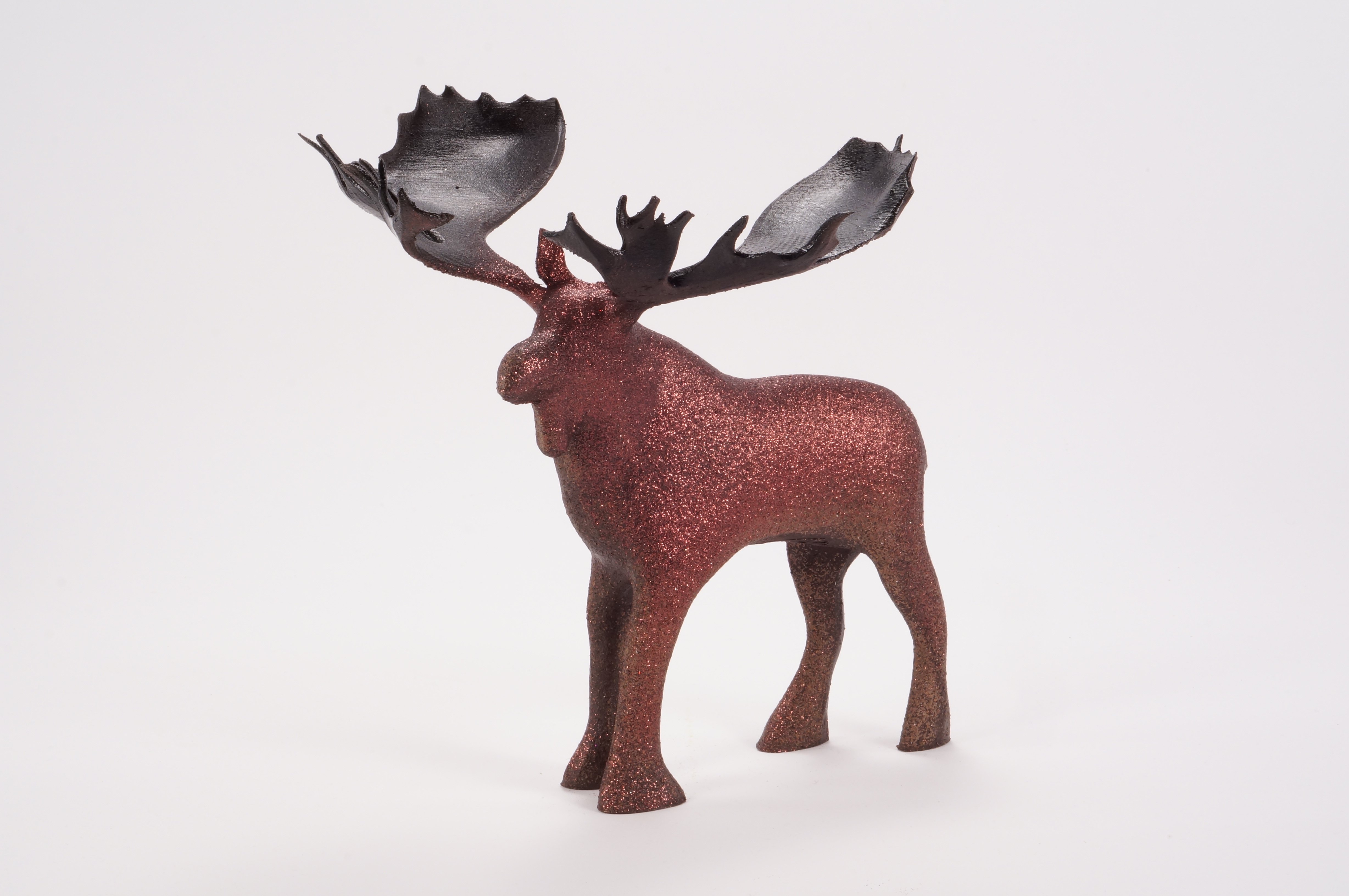 Moose