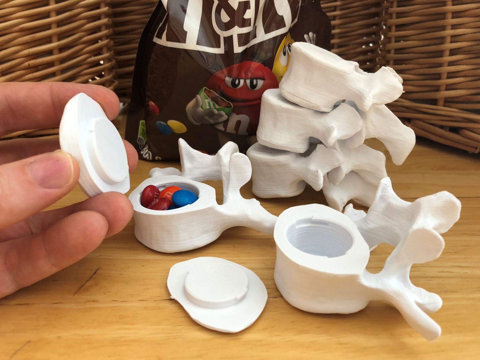 Vertebrae with Secret Compartments