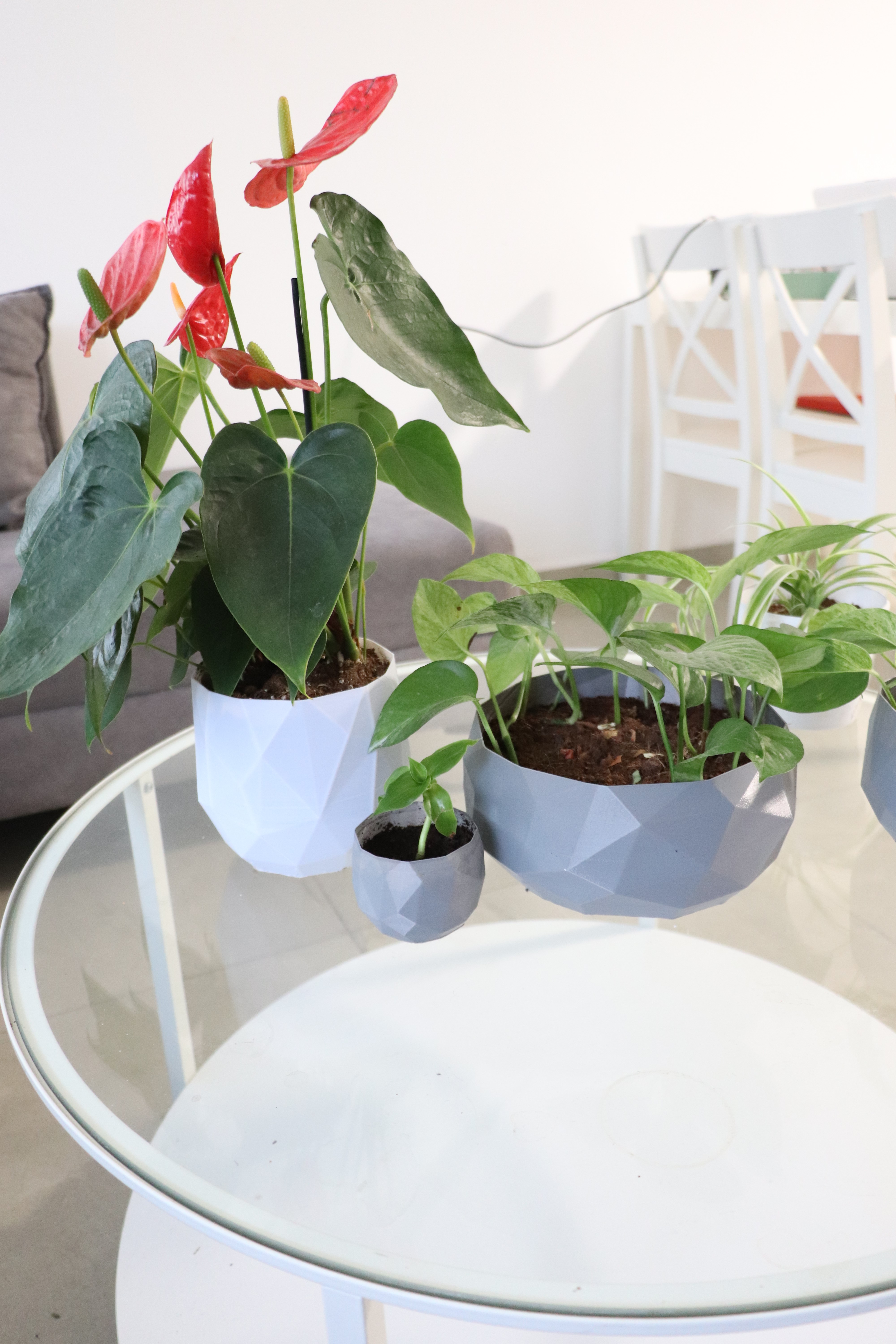 Modern plant pot