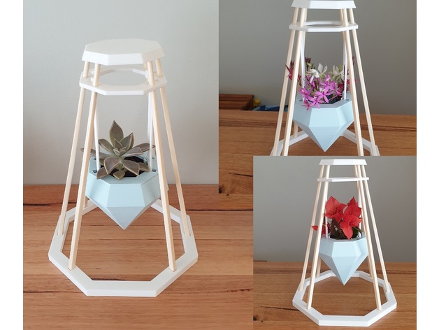 Chopstick Plant Or Flower Stand