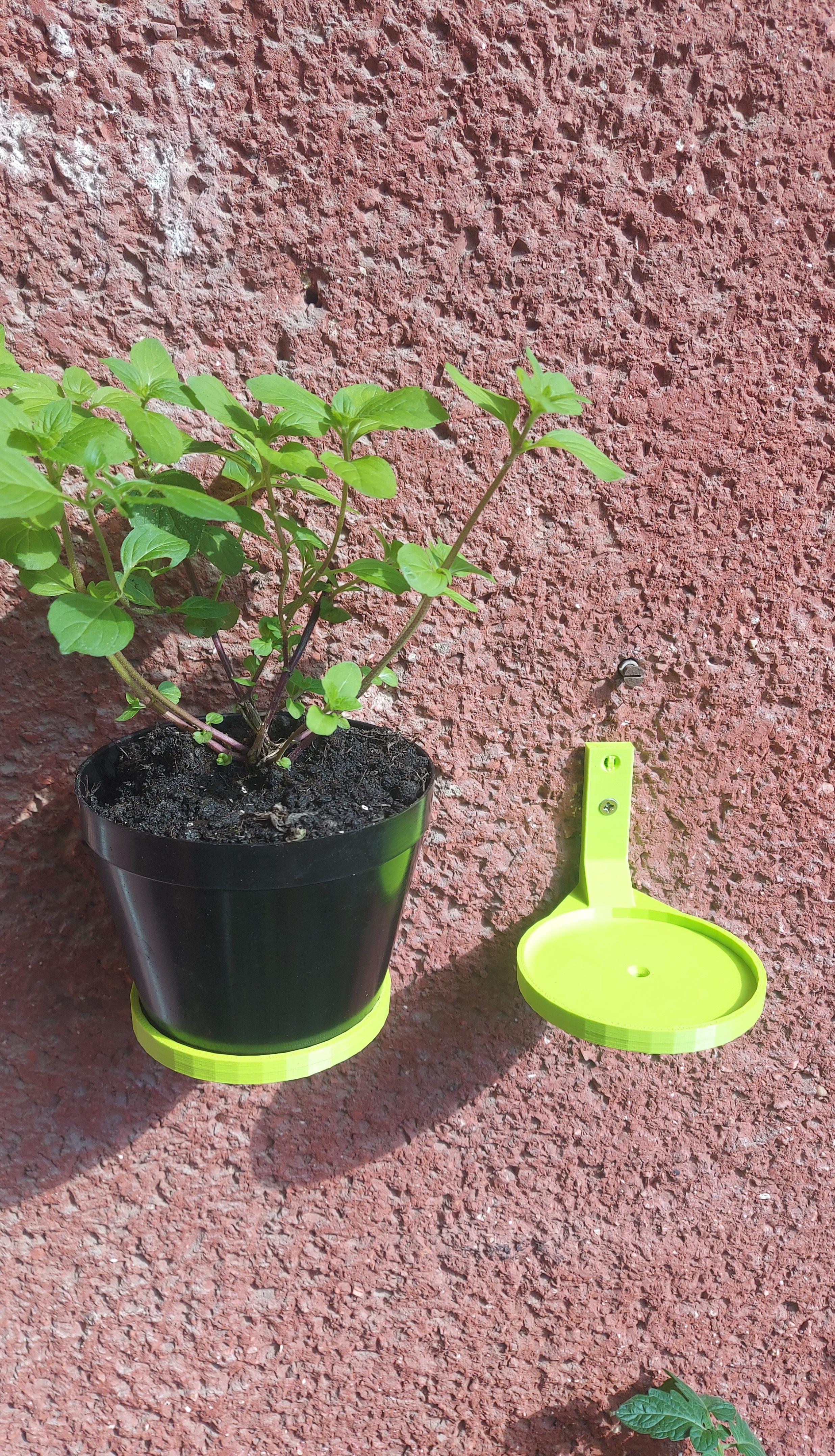 Wall Mounted Plant pot holder