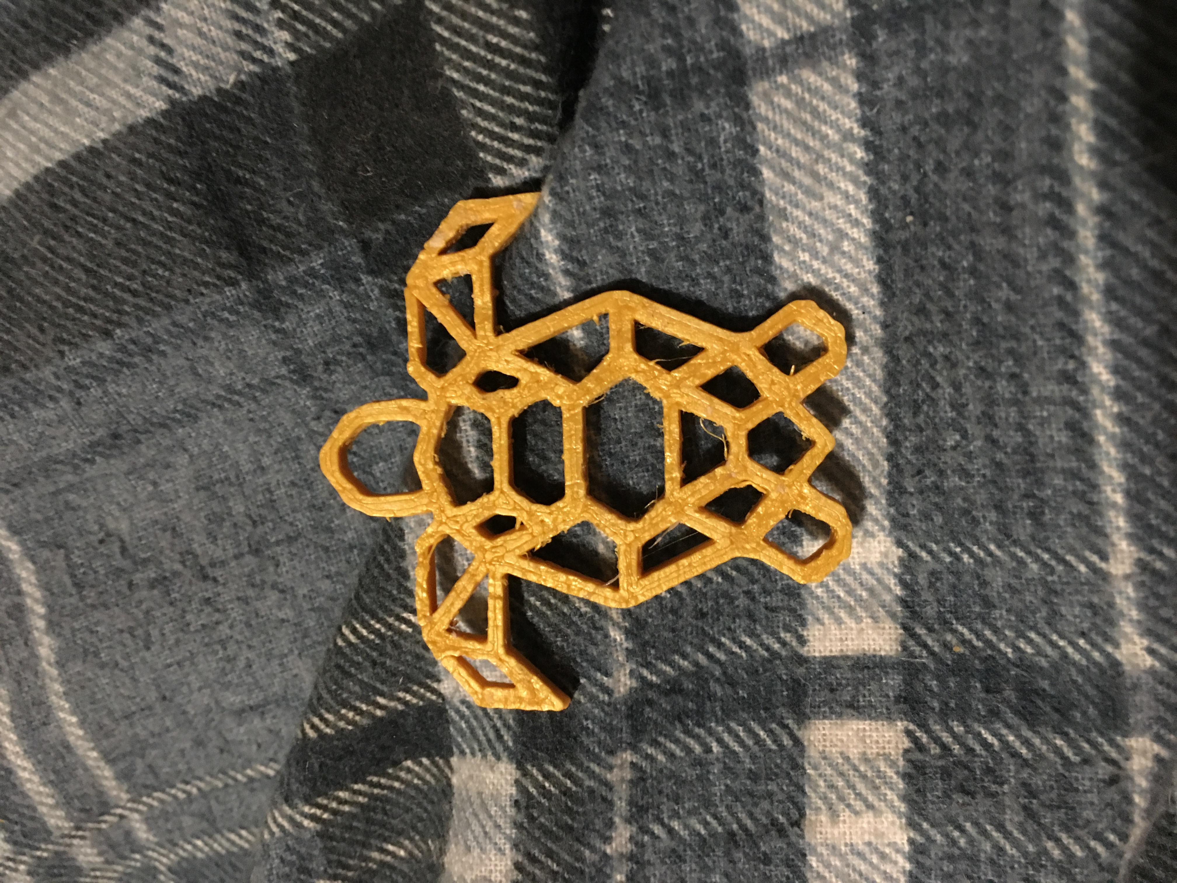 Wireframe turtle
