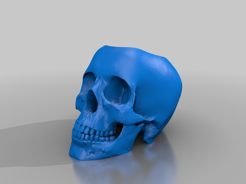 Skull with space inside
