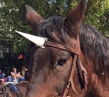 Unicorn horn for a horse's browband