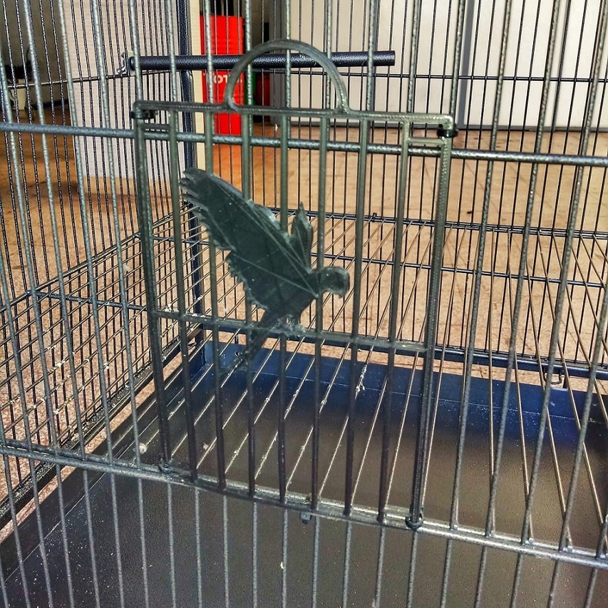 Bird cage door