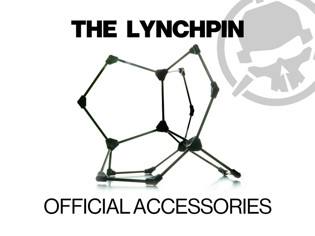Lynchpin Model Frame