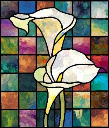 2 Calla Lilies