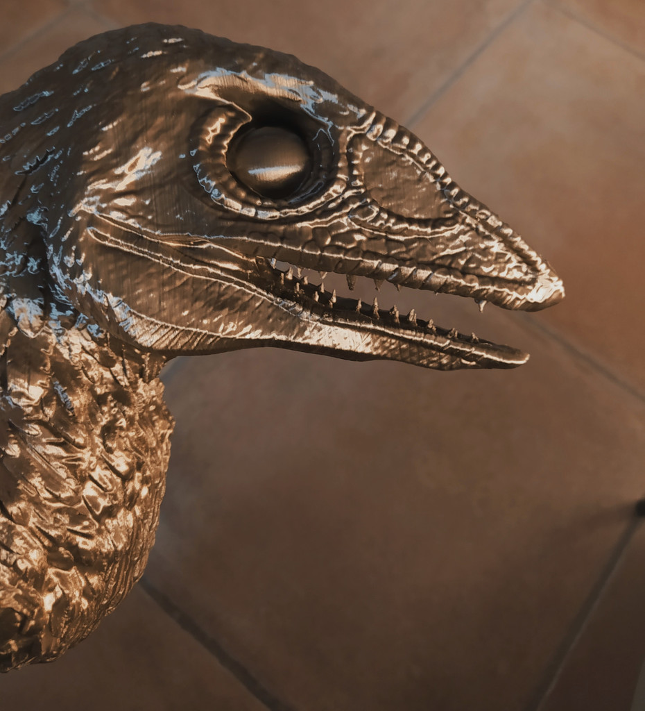 Feathered dinosaur head -- velocirator -- wall mounting