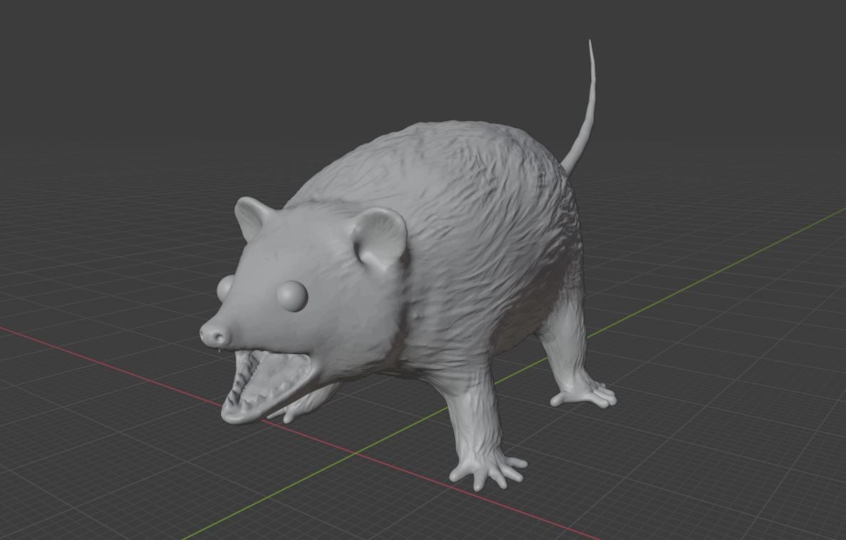 Hissing Opossum