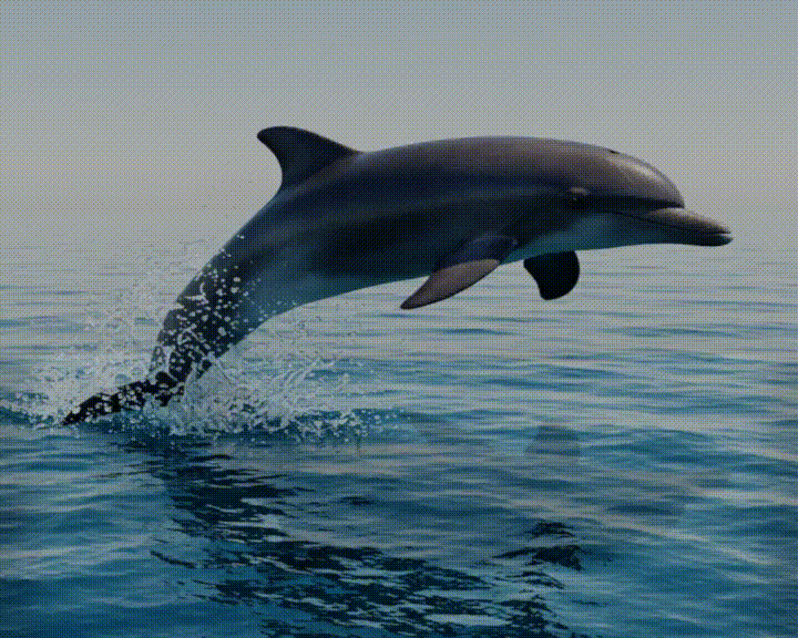 Miniatura 2 do modelo 3D Dolphin