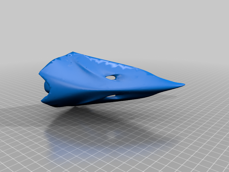 Covid Crow Beak